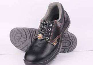 Double Colour Safety Shoes Manufacturers in Geyzing